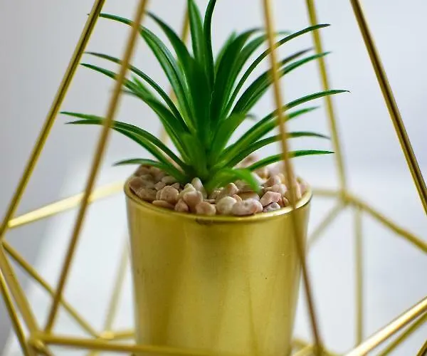 Carla Апартаменты *