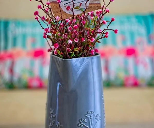 Carla * Назаре