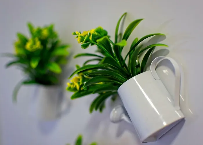 Carla Апартаменты *